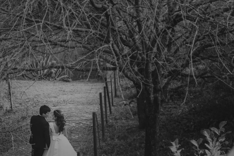 Ana + João